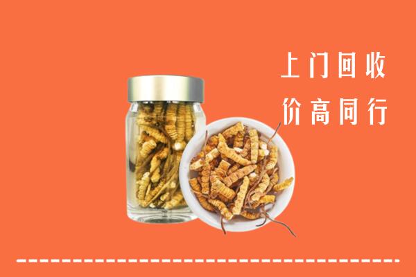 河池回收冬虫夏草