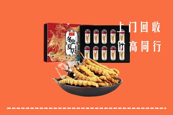 河池回收虫草
